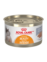 Royal Canin Cat | Intense Beauty 24x145g