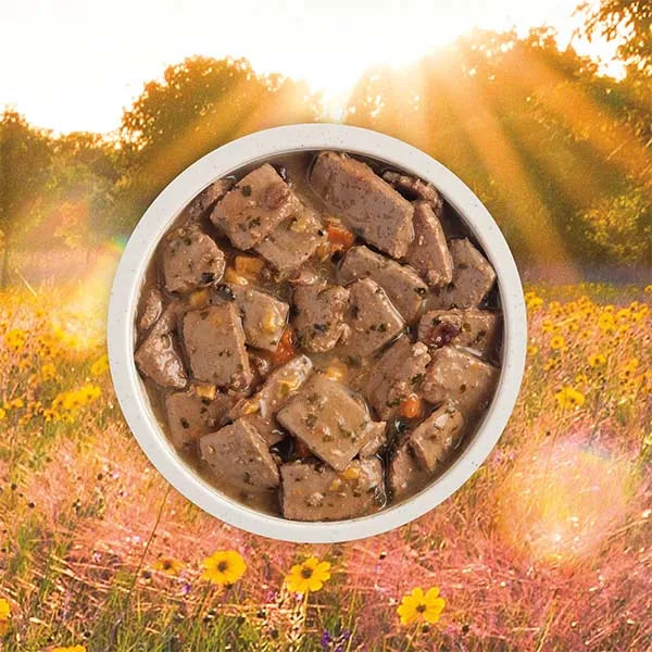 Acana Premium Chunks Wet Dog Food - Pork Recipe in Bone Broth 12x 363g