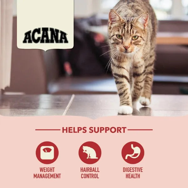 ACANA Cat | All-Life-Stages | Indoor Entrée