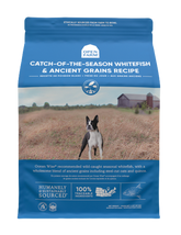 Open Farm | Ancient Grain Whitefish 22LB