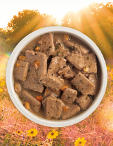 ACANA | Premium Chunks | Poultry Recipe in Bone Broth 12/12.8OZ