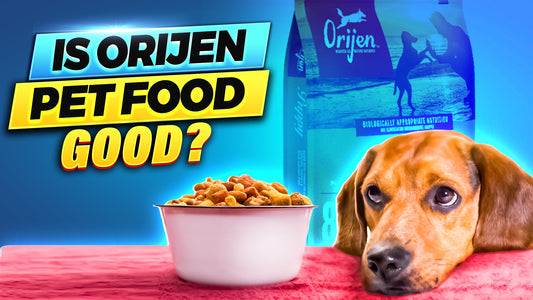 Is ORIJEN Pet Food Good?