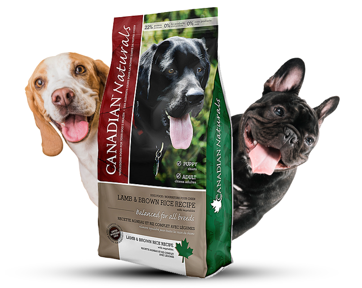 Rascals Pet Supplies