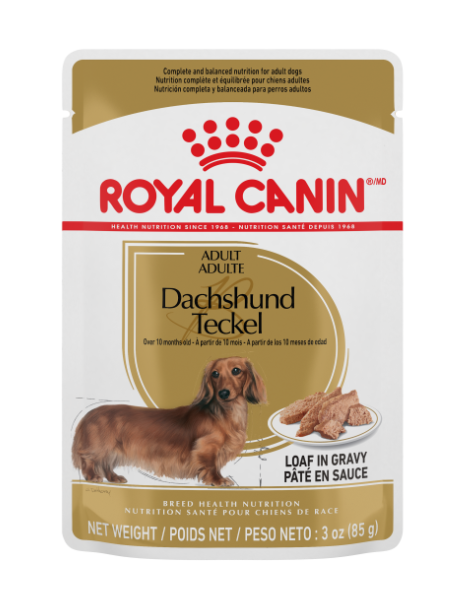 Royal Canin | Dachshund Loaf in Gravy Pouch 24/85G