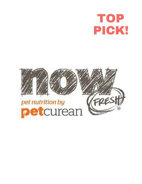 Now Fresh Dry Dog