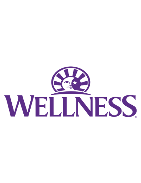Wellness Dry Dog