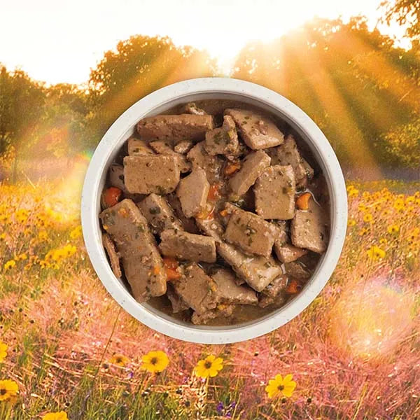 Acana Premium Chunks Wet Dog Food - Beef Recipe in Bone Broth 12x 363g