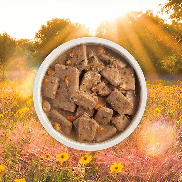 Acana Premium Chunks Wet Dog Food - Poultry Recipe in Bone Broth 12x 363g