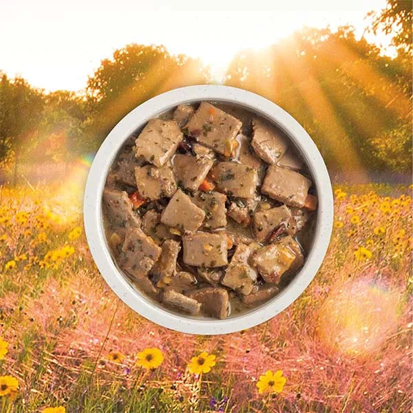 Acana Premium Chunks Wet Dog Food - Duck Recipe in Bone Broth 12x 363g