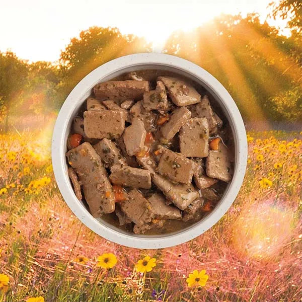 Acana Premium Chunks Wet Dog Food - Lamb Recipe in Bone Broth 12x 363g