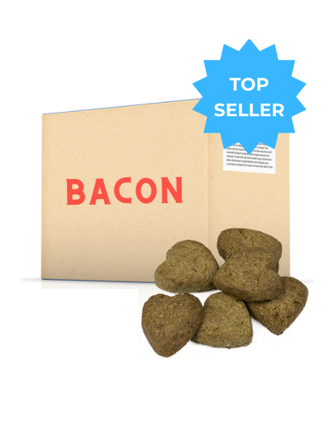 Oven-Baked Tradition | Dog Biscuits | Bacon 20LB