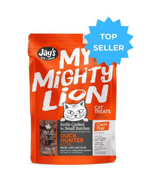 My Mighty Lion | Cat | Duck 12/75G