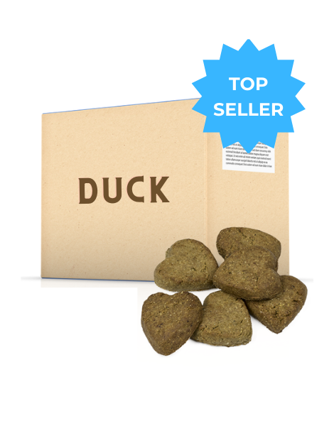 Oven-Baked Tradition | Dog Biscuits | Duck 20LB