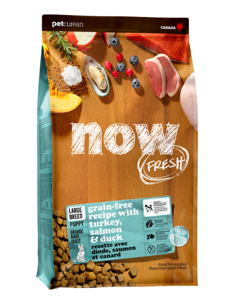 Now Fresh | Grain Free | Large Breed Puppy 25LB