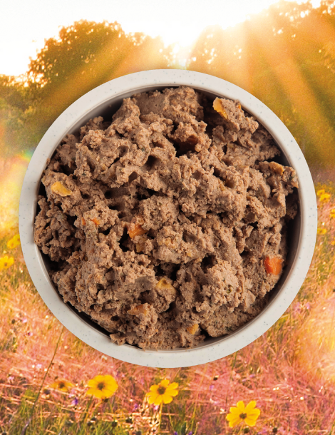 ACANA | Premium Chunks | Puppy Recipe in Bone Broth 12x 363g