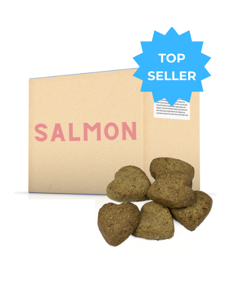 Oven-Baked Tradition | Dog Biscuits | Salmon 20LB