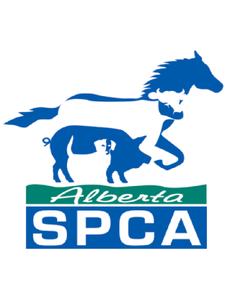 DONATE TO THE SPCA